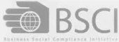 BSCI.webp